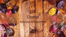  Presentation with barn wood autumn apples - Theme enhanced with autumn leaves on brown wooden background and a  colored foreground