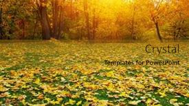  Presentation with green leaves - Theme having autumn-leaves-on-green-grass background and a gold colored foreground