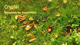  Presentation with chemistry leaves green leaf - Beautiful PPT theme featuring autumn leaves on green grass backdrop and a tawny brown colored foreground
