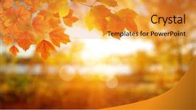  Presentation with fall leaves border autumn - PPT theme consisting of autumn leaves on the sun background and a gold colored foreground