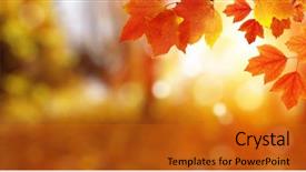  Presentation with nature sun leaves - Amazing PPT theme having autumn leaves on the sun backdrop and a gold colored foreground