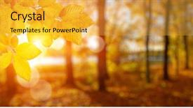  Presentation with nature sun leaves - Audience pleasing PPT layouts consisting of autumn leaves on the sun backdrop and a yellow colored foreground