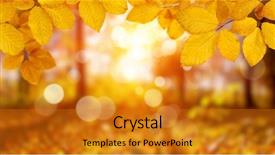  Presentation with fall leaves - Slide deck featuring autumn leaves on the sun background and a gold colored foreground