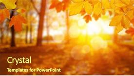  Presentation with pine trees sun shining through - Cool new presentation theme with autumn leaves on the sun backdrop and a crimson colored foreground