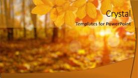  Presentation with autumn leaves - Slide deck consisting of autumn leaves on the sun background and a  colored foreground