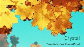  Presentation with fall leaves - Beautiful PPT theme featuring autumn-leaves-on-the-sun backdrop and a arctic colored foreground