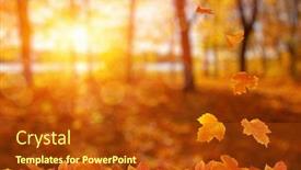  Presentation with fall leaves - Cool new slide deck with autumn leaves on the sun backdrop and a crimson colored foreground