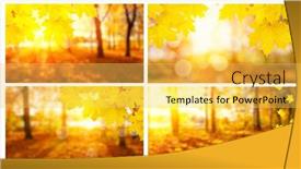  Presentation with autumn leaves - Theme with autumn-leaves-on-the-sun background and a yellow colored foreground