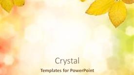  Presentation with fall leaves - Theme featuring autumn leaves on the sun and blurred trees fall background background and a cream colored foreground