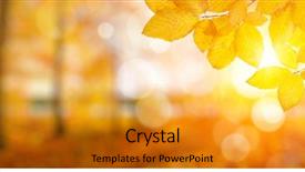  Presentation with fall leaves - Theme enhanced with autumn leaves on the sun background and a gold colored foreground