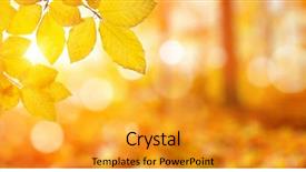  Presentation with fall leaves - Slides featuring autumn leaves on the sun background and a gold colored foreground