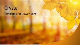  Presentation with fall leaves - PPT layouts having autumn leaves on the sun background and a yellow colored foreground
