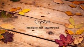  Presentation with autumn leaves - Audience pleasing slide deck consisting of autumn leaves on wooden background backdrop and a  colored foreground