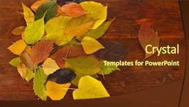  Presentation with beautiful fresh leaves water drops - PPT theme featuring autumn leaves on wooden background background and a tawny brown colored foreground