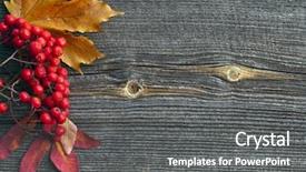  Presentation with barn wood autumn apples - Amazing presentation theme having autumn leaves on wooden background backdrop and a gray colored foreground