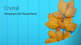  Presentation with autumn blue - Beautiful slide deck featuring autumn leaves on wooden blue background backdrop and a cyan colored foreground