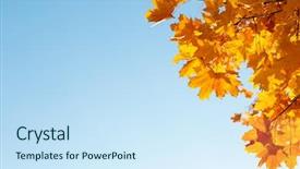  Presentation with autumn blue - Cool new slides with autumn leaves over blue sky backdrop and a sky blue colored foreground