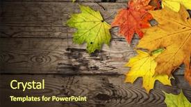  Presentation with old books on a wooden - Presentation theme having autumn leaves over old wooden background and a tawny brown colored foreground