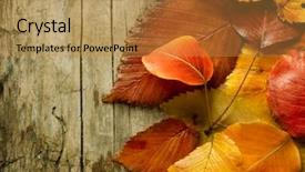  Presentation with autumn wood - Beautiful PPT theme featuring autumn leaves over wood background backdrop and a gold colored foreground