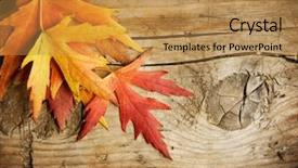  Presentation with autumn wood - Slides with autumn leaves over wood background background and a gold colored foreground