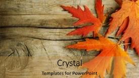  Presentation with barn wood autumn apples - Cool new theme with autumn leaves over wooden background backdrop and a gold colored foreground