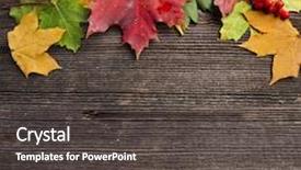  Presentation with autumn leaves - Slides having autumn leaves over wooden rustic background and a dark gray colored foreground