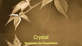  Presentation with autumn leaves - Slides enhanced with autumn-leaves-reflected-in-rendered background and a tawny brown colored foreground