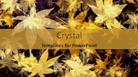  Presentation with pattern - Slide set consisting of autumn leaves seamless background pattern background and a gold colored foreground