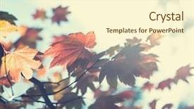  Presentation with autumn leaves - Amazing presentation theme having autumn leaves backdrop and a cream colored foreground