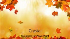  Presentation with autumn leaves - Beautiful slide set featuring autumn leaves backdrop and a gold colored foreground