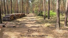  Presentation with yellow orange - Presentation theme having autumn-log-trail background and a coral colored foreground