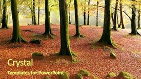 Presentation with magic - PPT theme having autumn magic forest background and a tawny brown colored foreground
