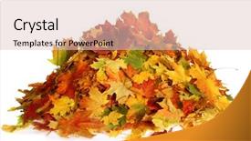  Presentation with maple leaves - Presentation theme featuring autumn maple colored leaves background and a lemonade colored foreground