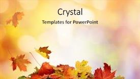  Presentation with autumn leaves falling - Theme having autumn maple falling leaves i background and a blonde colored foreground