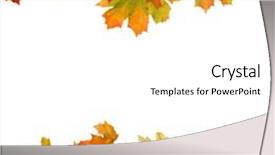  Presentation with autumn leaves falling - Beautiful presentation theme featuring autumn maple falling leaves isolated backdrop and a white colored foreground