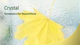  Presentation with maple leaf - Presentation theme having autumn maple leaf on glass with natural water drops background and a sky blue colored foreground