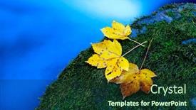  Presentation with autumn blue - Theme with autumn-maple-leafs-on-green background and a forest green colored foreground