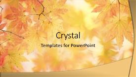 Presentation with maple leaves - Presentation theme enhanced with autumn maple leaves background background and a yellow colored foreground