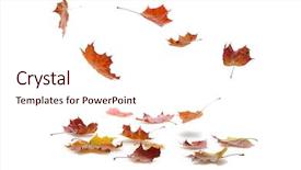  Presentation with autumn leaves falling - Cool new presentation design with autumn maple leaves falling backdrop and a sky blue colored foreground
