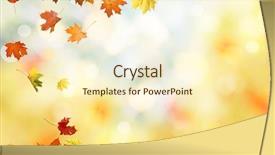  Presentation with maple - Slide deck with autumn maple leaves natural background background and a cream colored foreground
