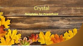  Presentation with maple leaves - Presentation design with autumn-maple-leaves-on-top background and a tawny brown colored foreground