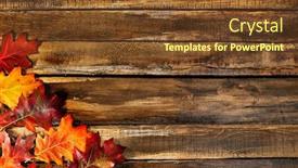  Presentation with maple - Audience pleasing presentation design consisting of autumn-maple-leaves-on-top backdrop and a tawny brown colored foreground