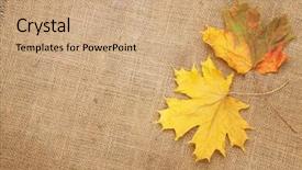  Presentation with maple leaves - Slides with leaves over burlap texture background background and a coral colored foreground