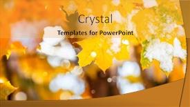  Presentation with maple leaf - Colorful presentation theme enhanced with autumn maple leaves with snow falling from the trees shallow focus on leaf in center backdrop and a yellow colored foreground