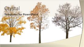  Presentation with maple - Presentation design having autumn-maple-trees-isoalted background and a lemonade colored foreground
