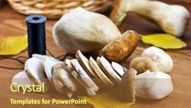  Presentation with autumn wood - Audience pleasing slide set consisting of mushrooms edible mushrooms large mushrooms - autumn mushroom on wood table backdrop and a red colored foreground
