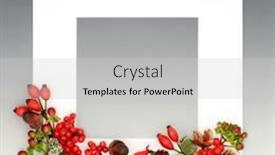  Presentation with fall festival - Presentation theme enhanced with autumn-nature-background-frame-berry and a light gray colored foreground