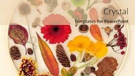  Presentation with autumn view autumn nature - PPT layouts featuring autumn-nature-leaves-flowers-fruit background and a lemonade colored foreground