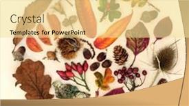 Presentation with fall abstract - PPT theme having autumn-nature-study-arrangement background and a blonde colored foreground