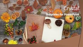  Presentation with flora fauna - Audience pleasing slides consisting of autumn-nature-study-with-composition backdrop and a coral colored foreground